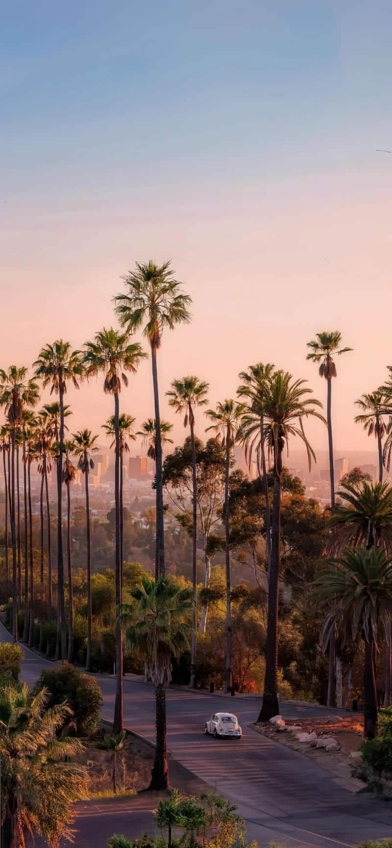 Loạt hình nền ip 14 chất lượng