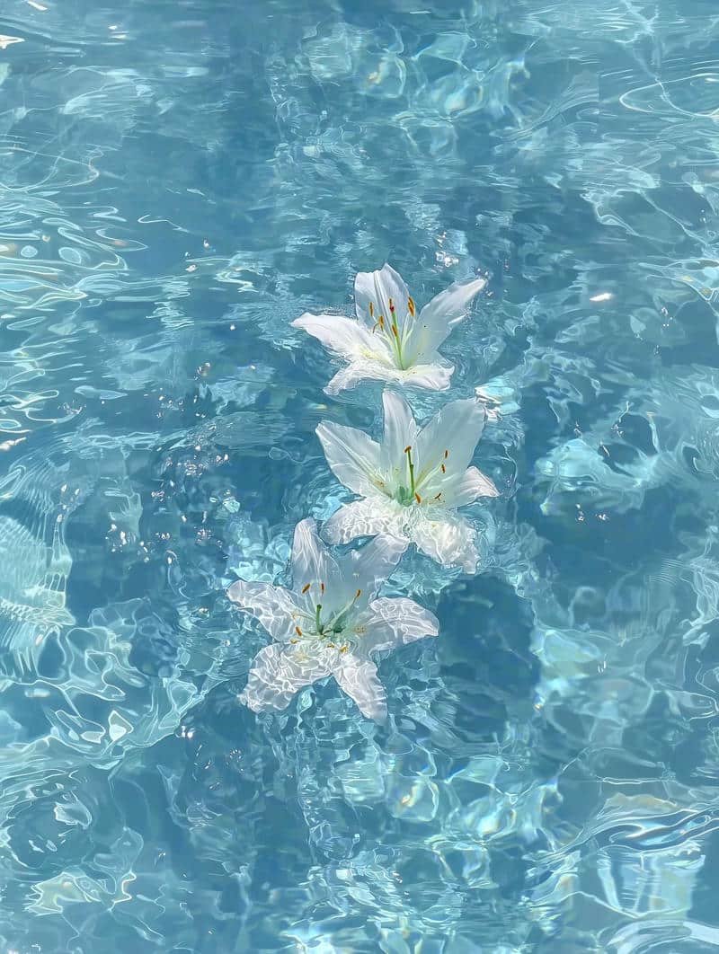 Loạt hình nền màu xanh độc quyền