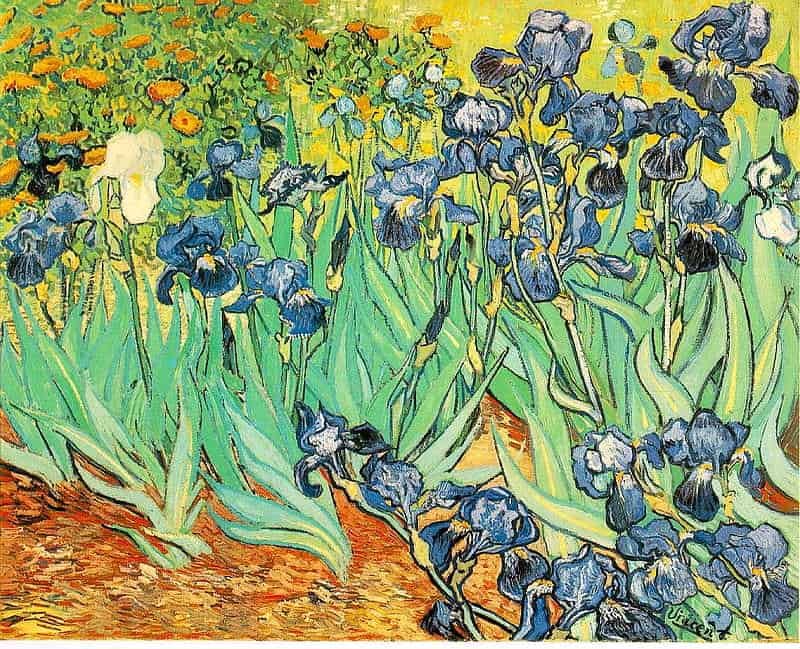 Loạt hình nền van gogh cuốn hút
