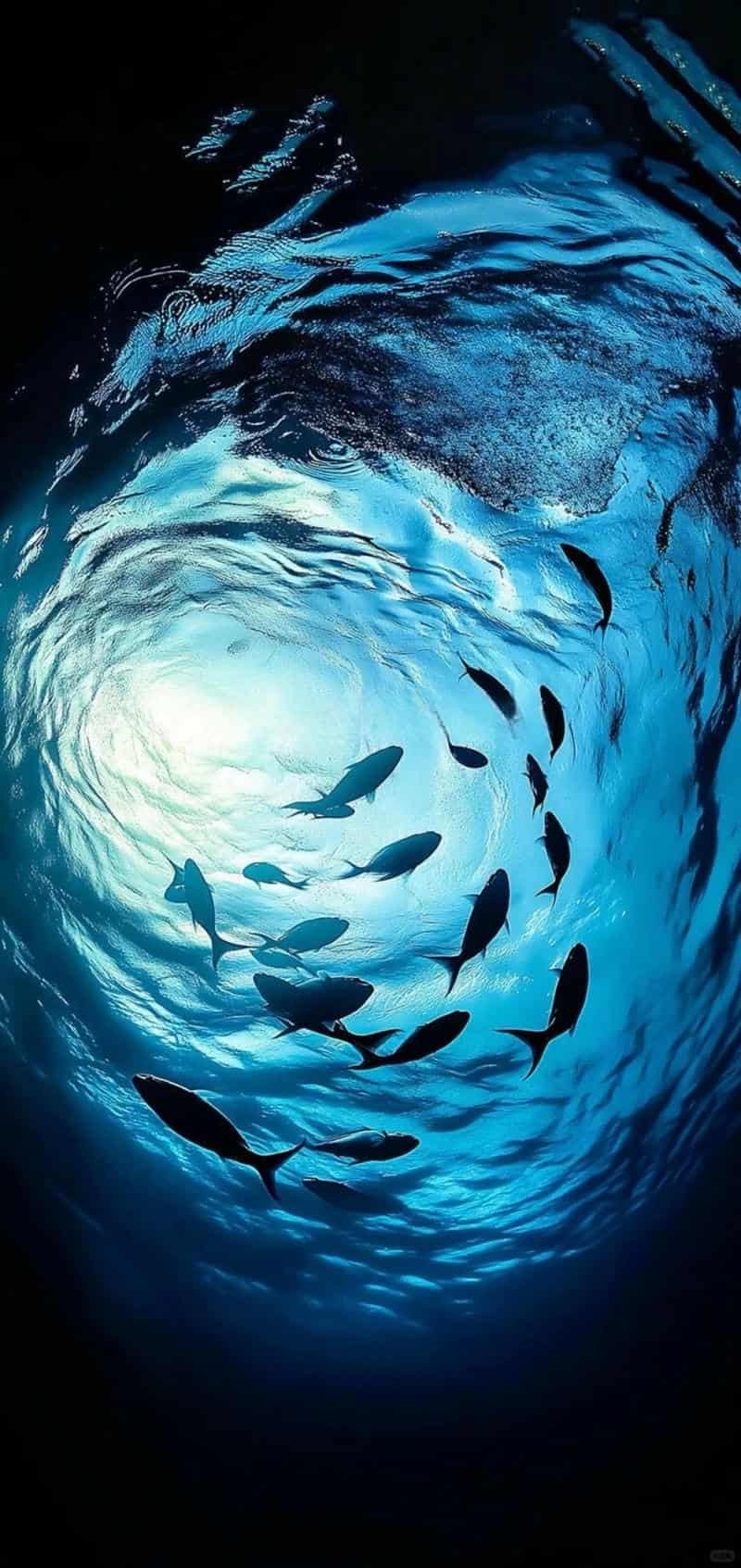 Ngắm bộ hình nền đẹp chất lượng cao