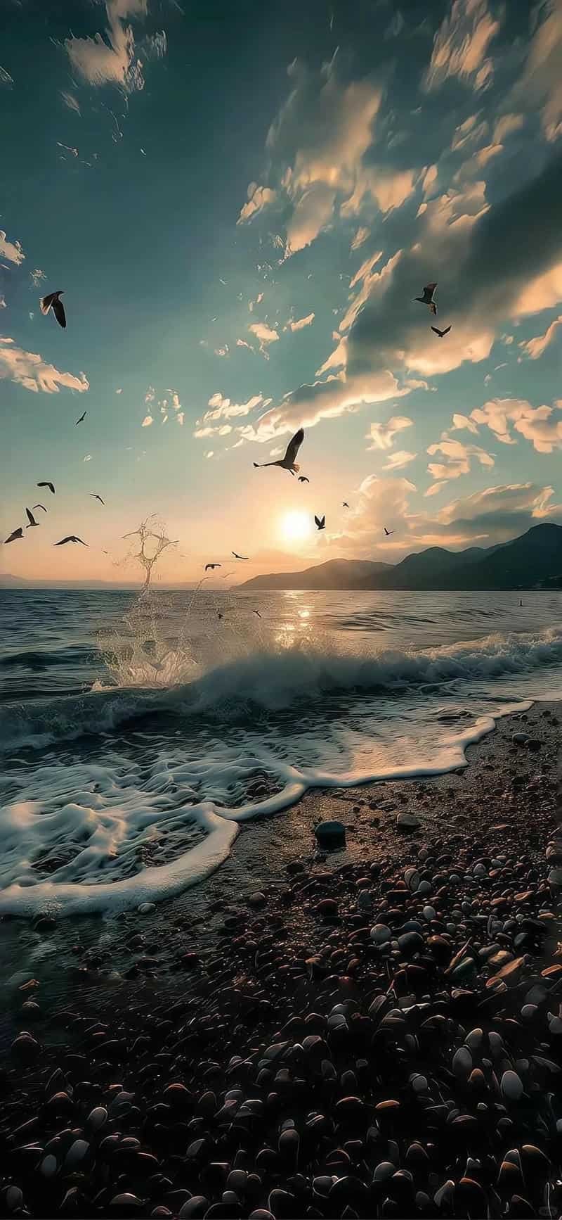 Ngắm bộ hình nền ip 12 chất lượng cao