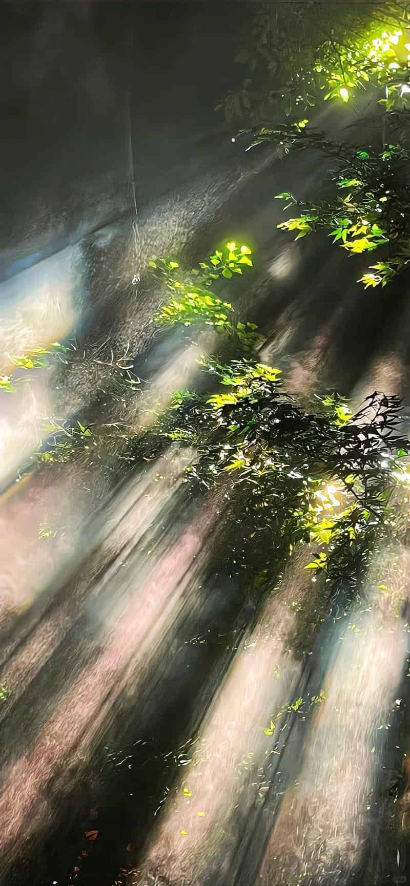 Ngắm bộ hình nền iphone 15 chất lượng cao