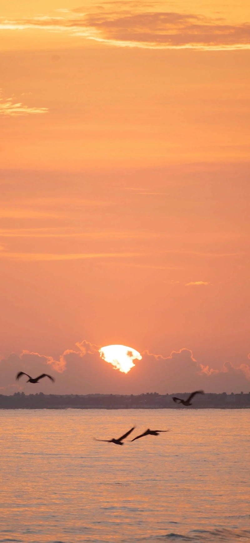 Ngắm hình nền bình minh miễn phí