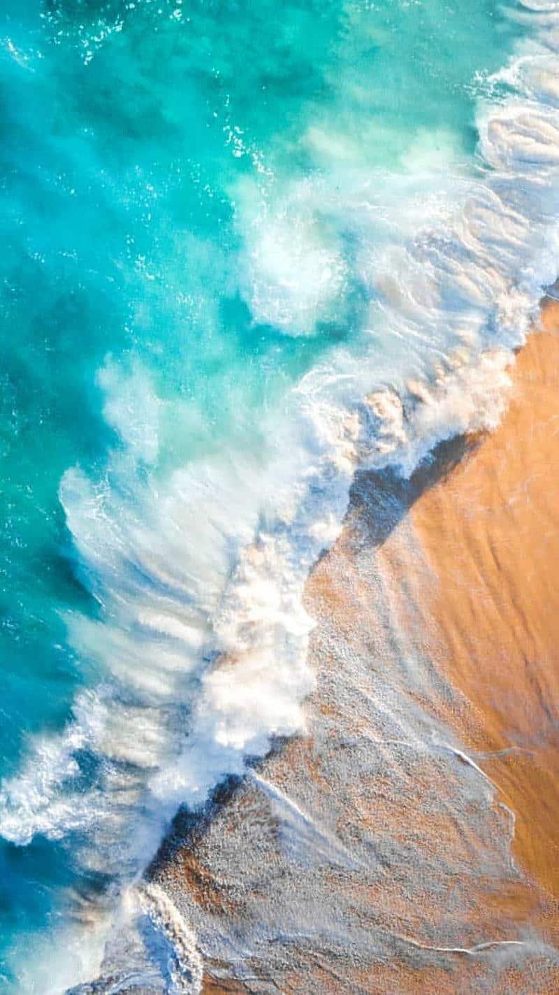 Ngắm hình nền đại dương miễn phí