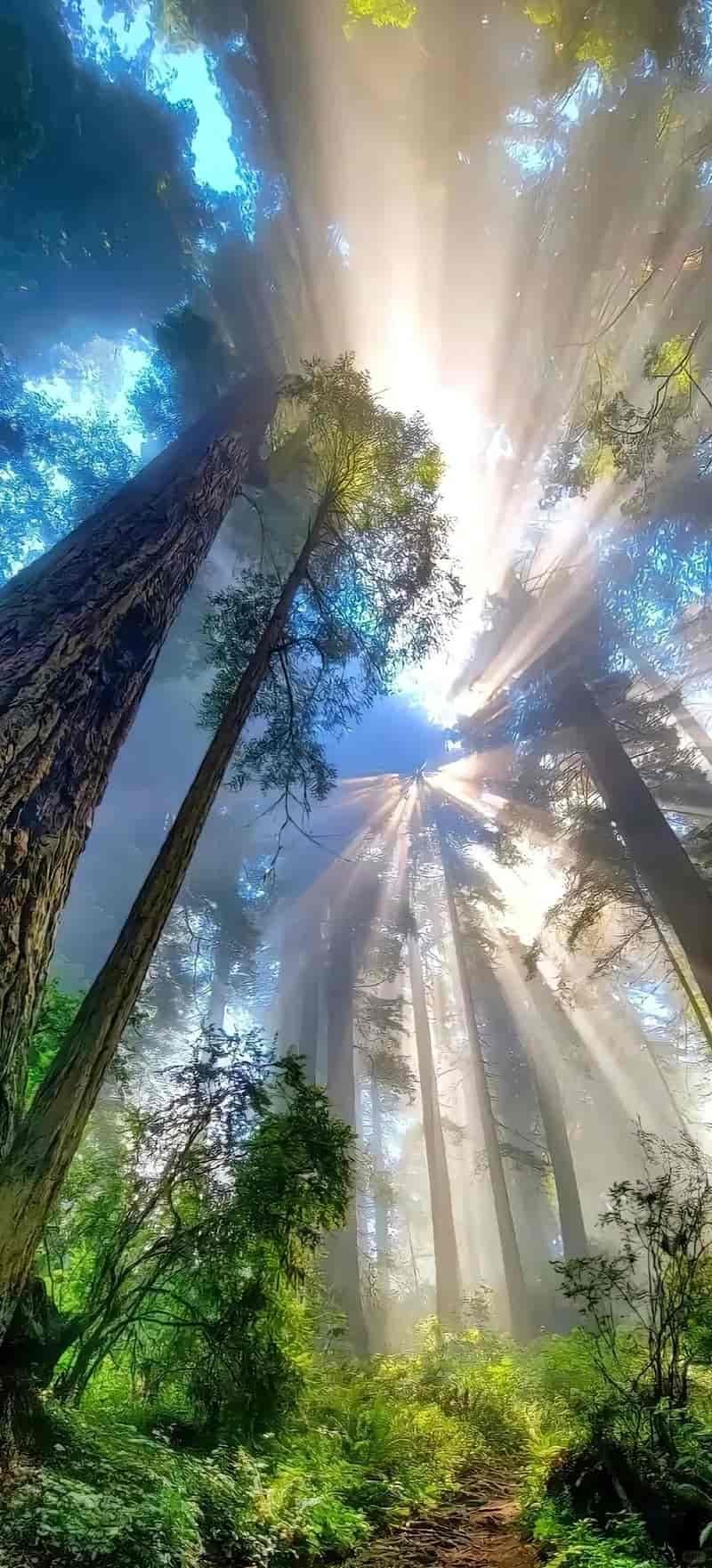 Ngắm hình nền đẹp 3d mới nhất