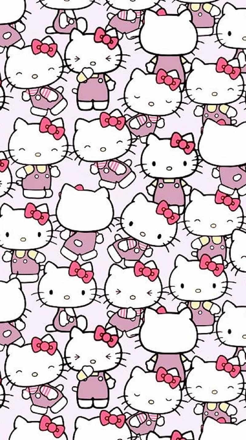 Ngắm hình nền hello kitty miễn phí