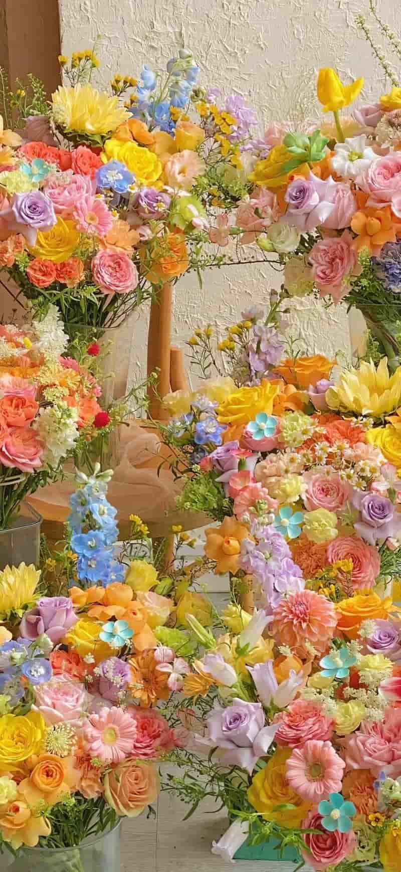 Ngắm hình nền hoa miễn phí