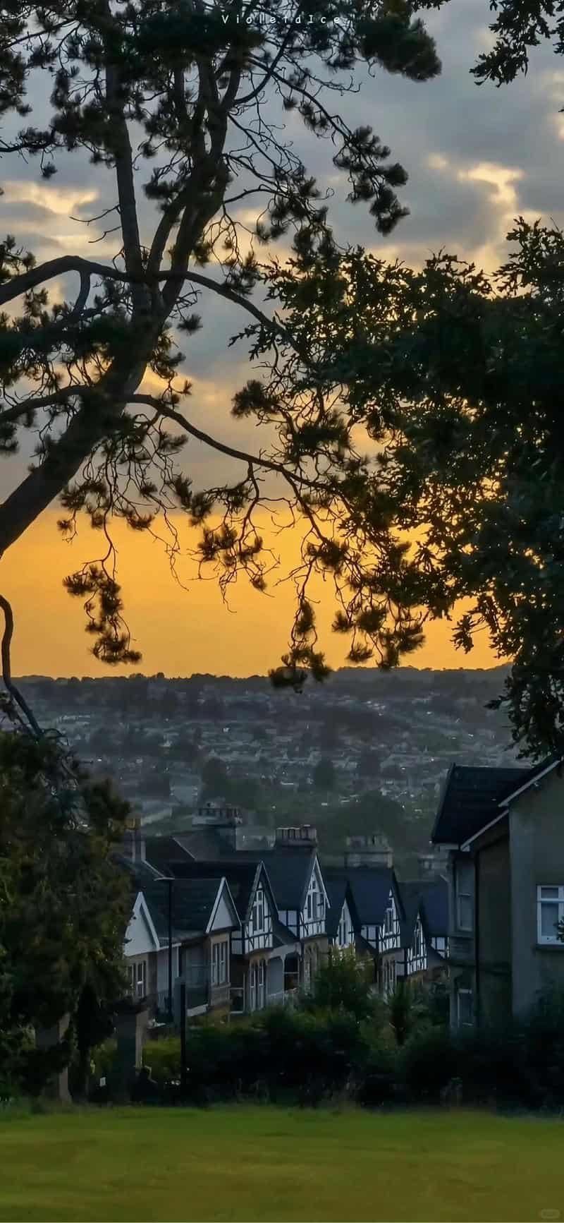 Ngắm hình nền ip 12 thu hút