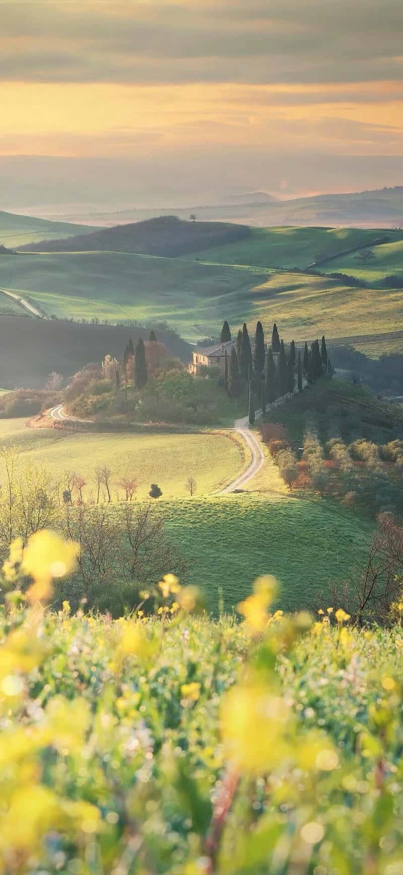 Ngắm hình nền ip 14 thu hút