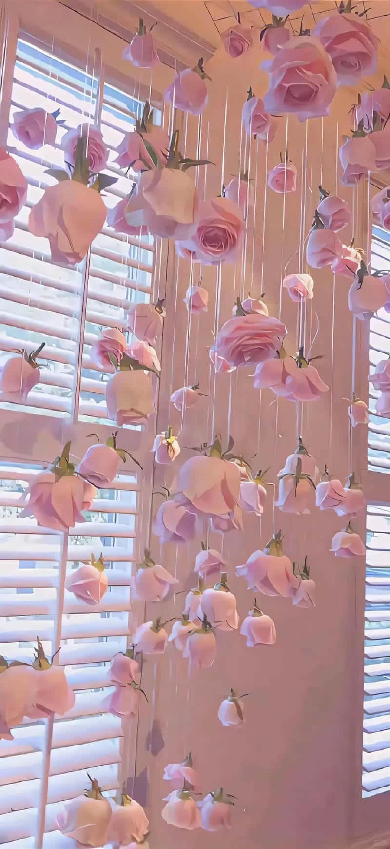 Ngắm hình nền màu hồng miễn phí