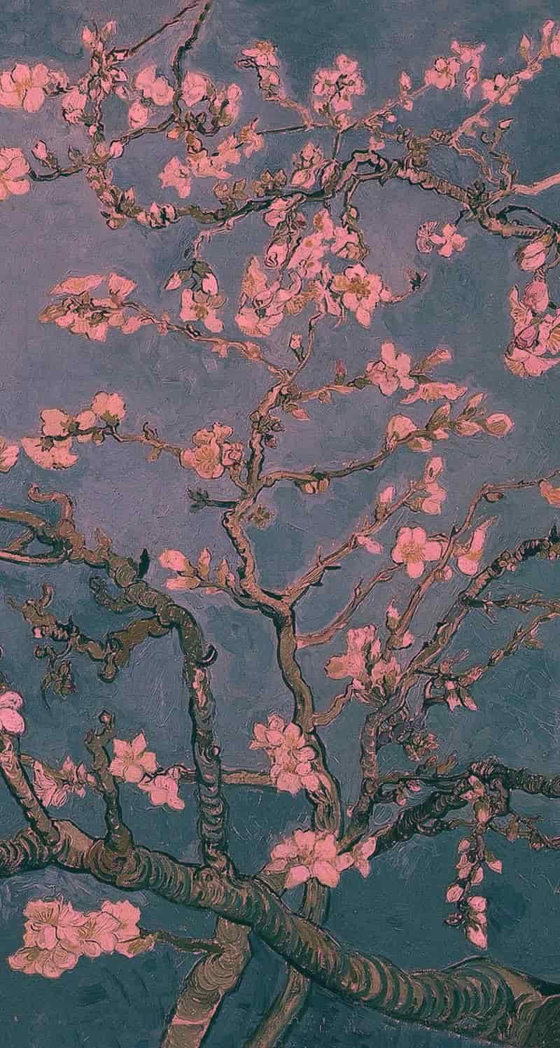 Ngắm hình nền van gogh thu hút