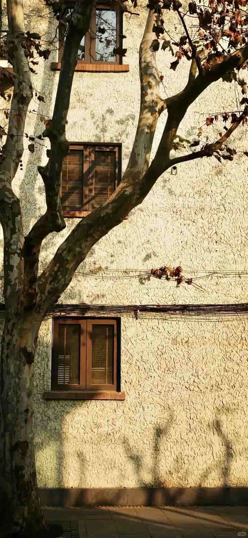 Tải bộ hình nền đẹp mới nhất