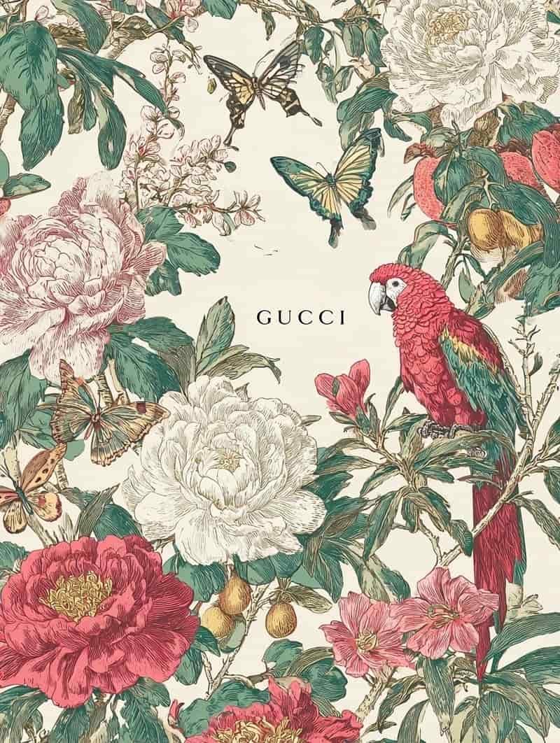 Tải bộ hình nền gucci mới nhất