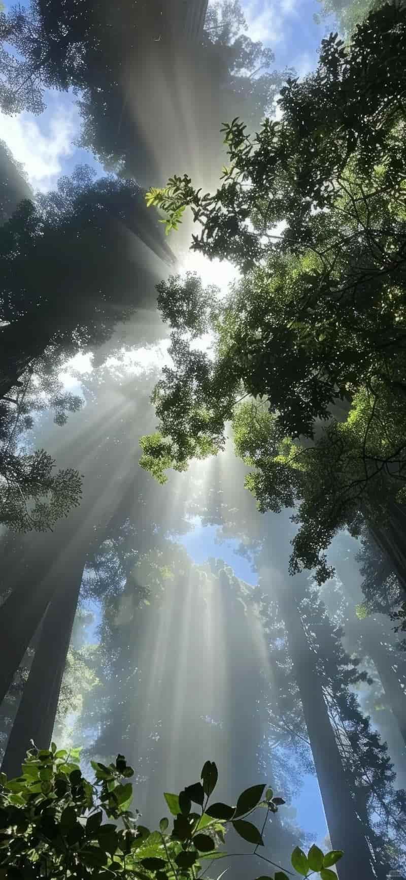 Tải bộ hình nền iphone mới nhất