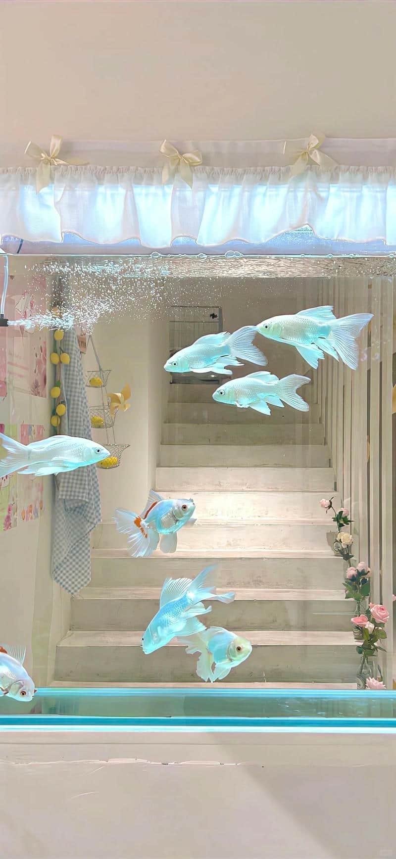 Tải bộ hình nền màu xanh mới nhất