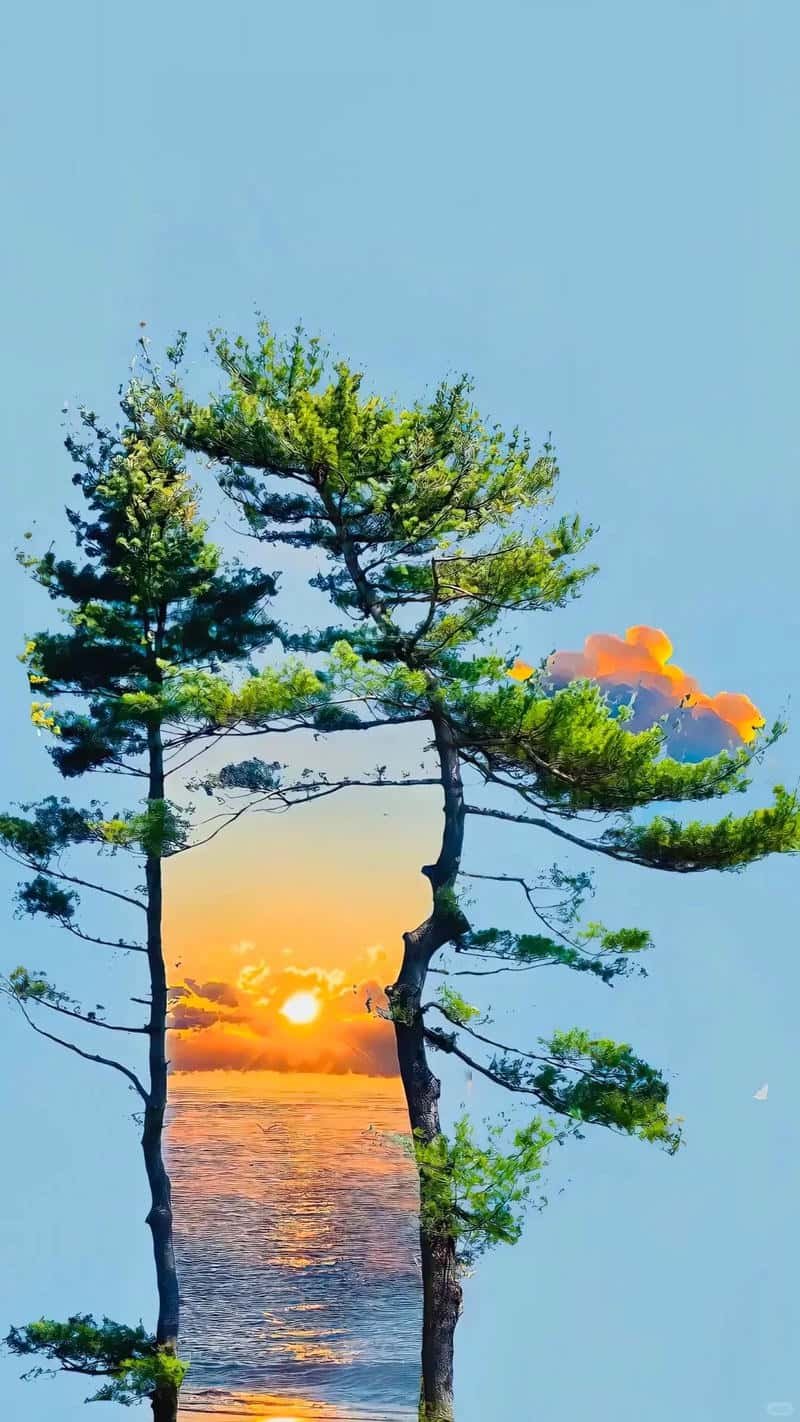 Tải hình nền ip 14 mới nhất