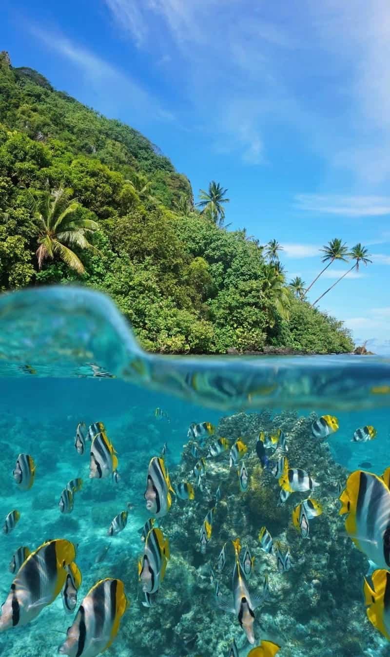 Tải về hình nền 8k miễn phí