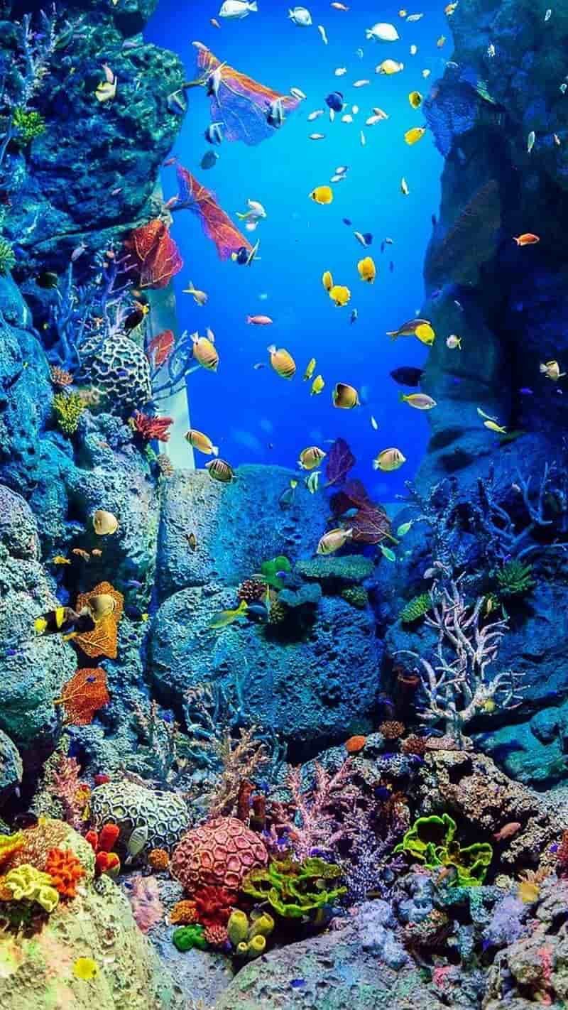 Tải về hình nền đại dương chất lượng cao