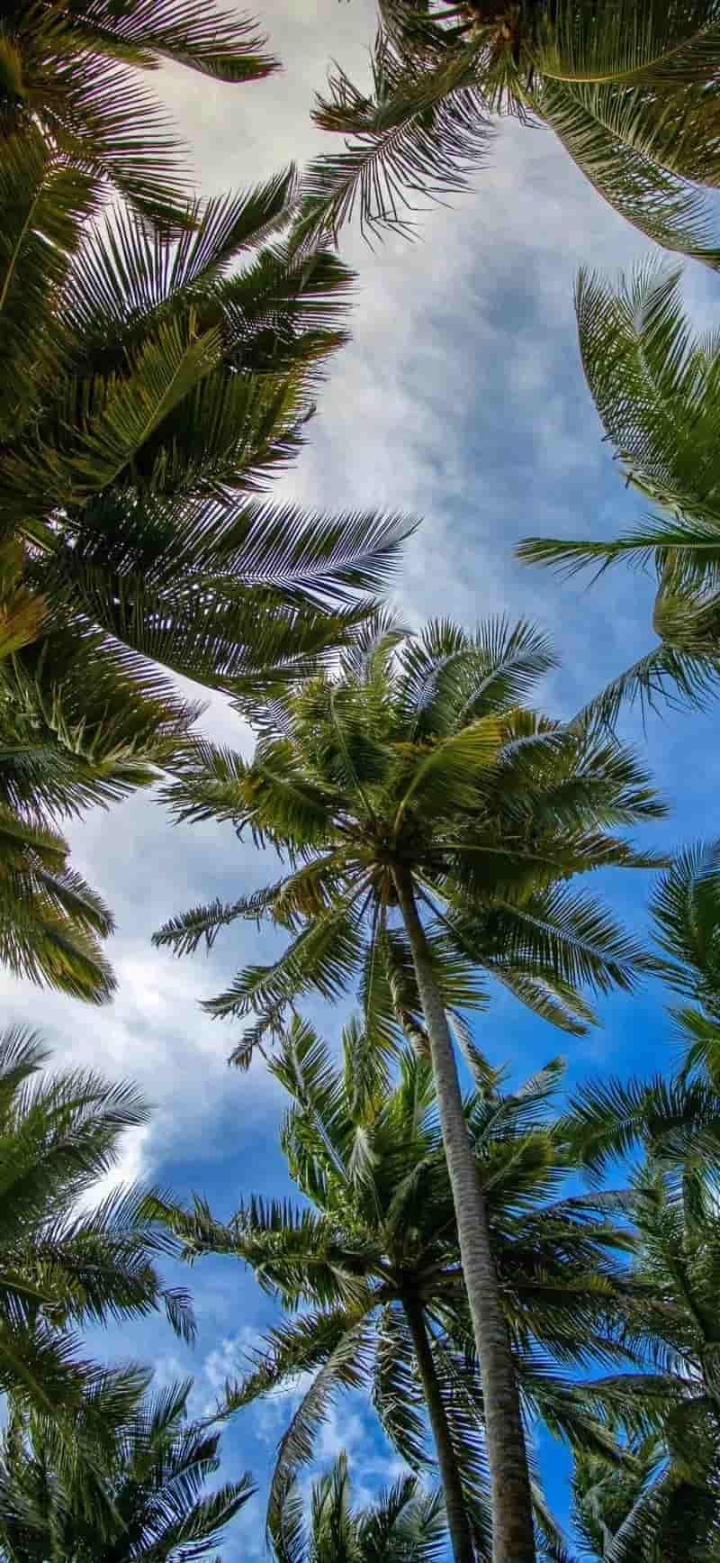 Tải về hình nền đẹp 3d miễn phí