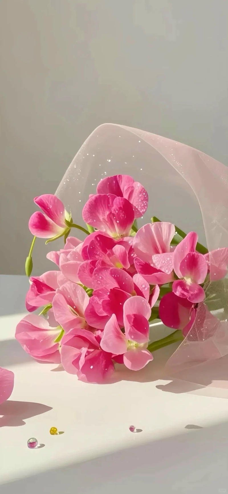 Tải về hình nền hoa chất lượng cao