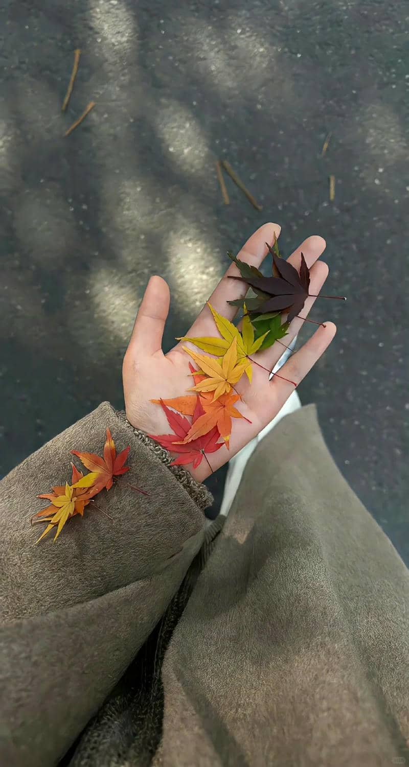 Tải về hình nền ip 14 miễn phí