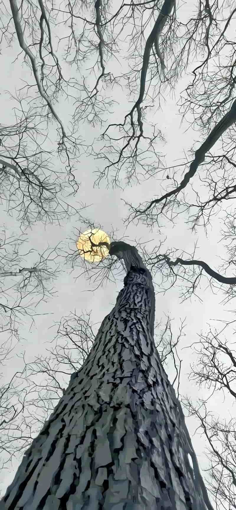 Tải về hình nền iphone chất lượng cao