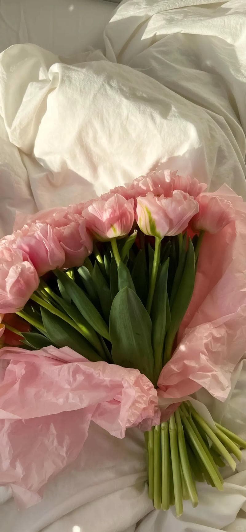 Tải về hình nền màu hồng miễn phí