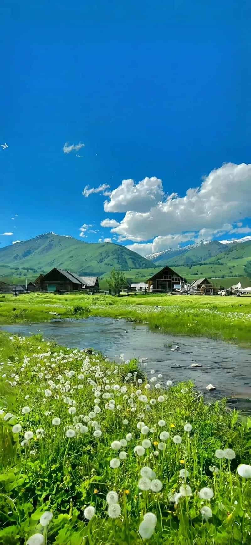 Tổng hợp hình nền đẹp chất lượng