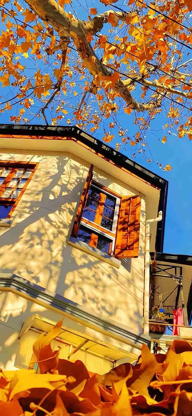 Tổng hợp hình nền ip 14 chất lượng