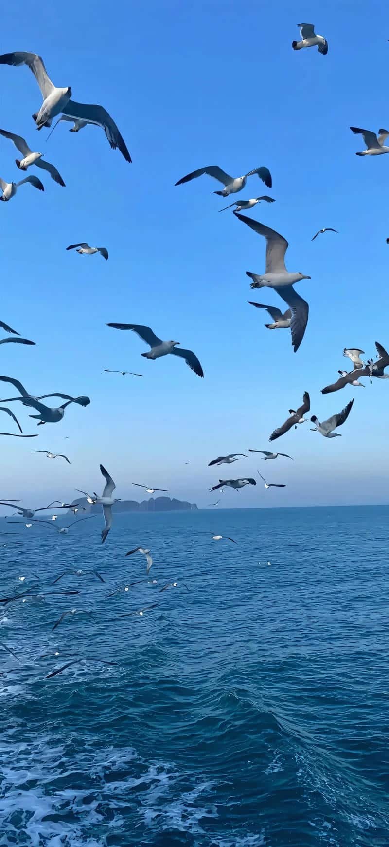 Tuyển chọn hình nền đẹp thu hút