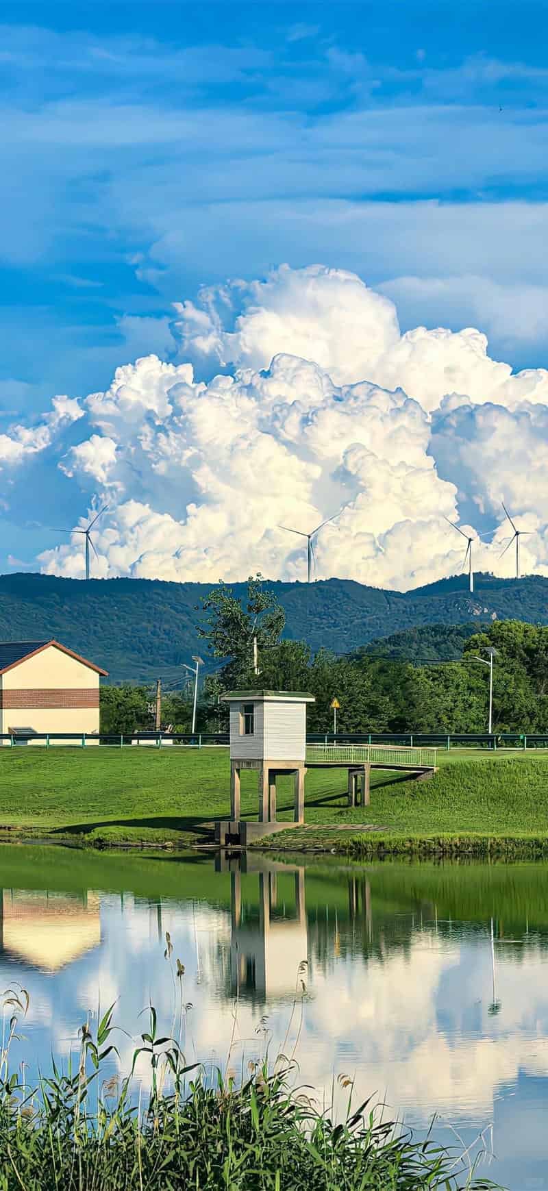 Tuyển chọn hình nền iphone 15 thu hút