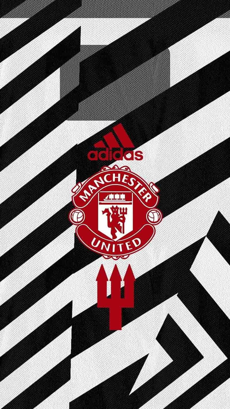 Tuyển chọn hình nền mu thu hút