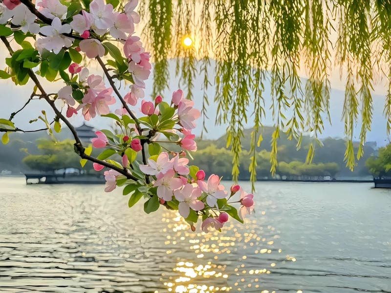 Xem bộ hình nền ipad miễn phí