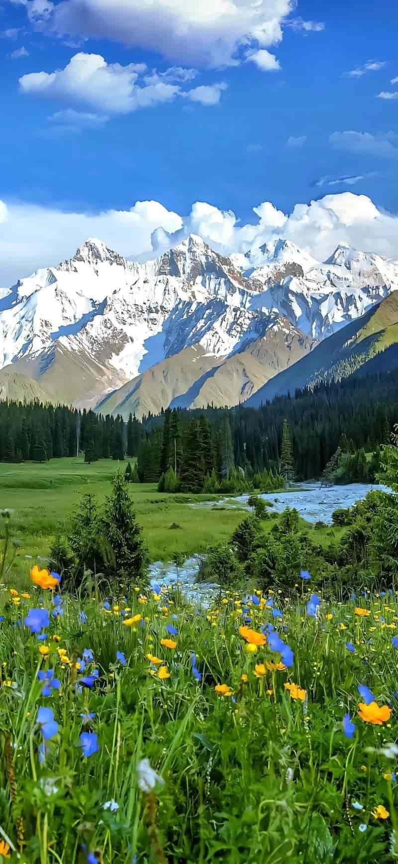 Xem hình nền 8k chất lượng cao