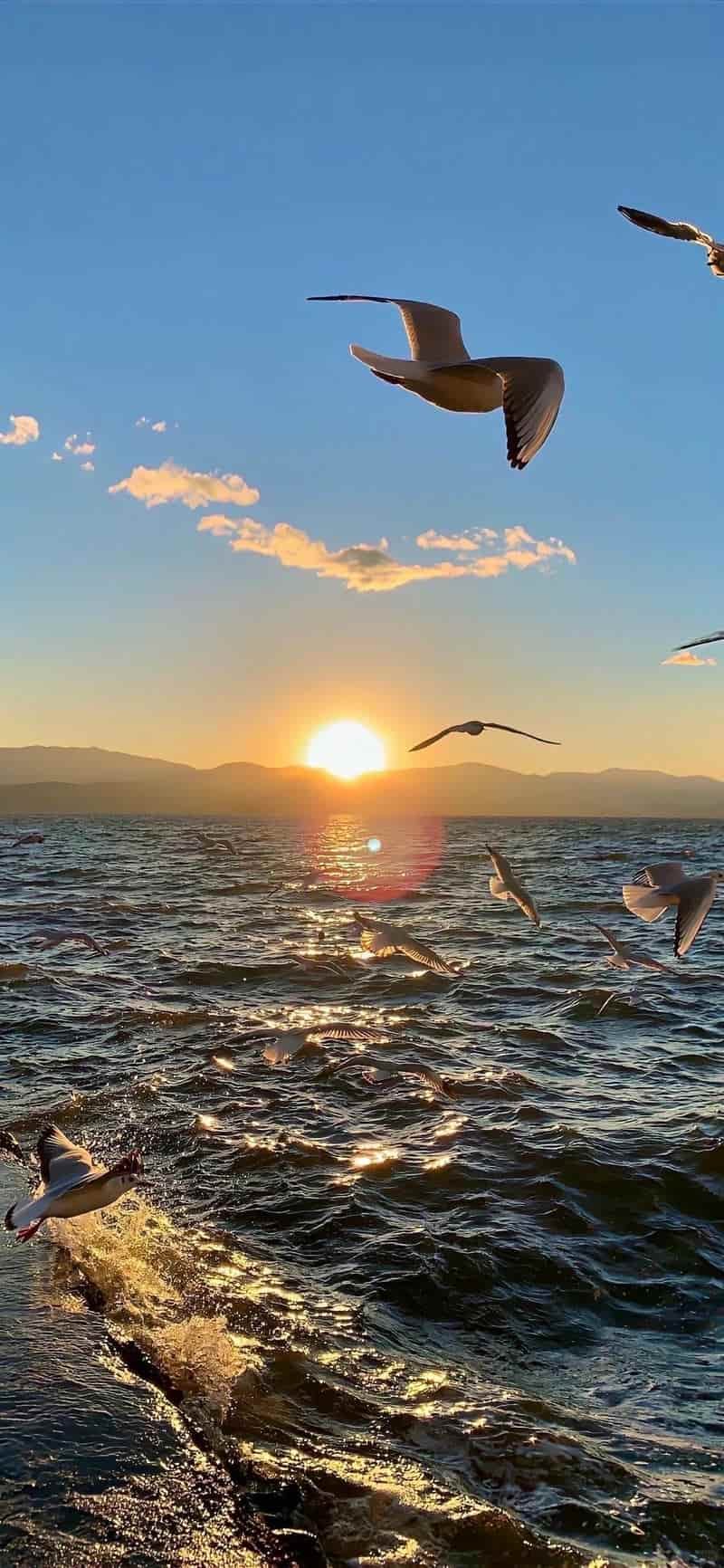 Xem hình nền bình minh đẹp