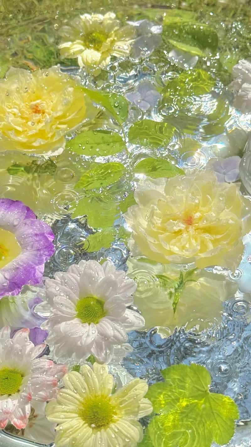 Xem hình nền đẹp 3d chất lượng