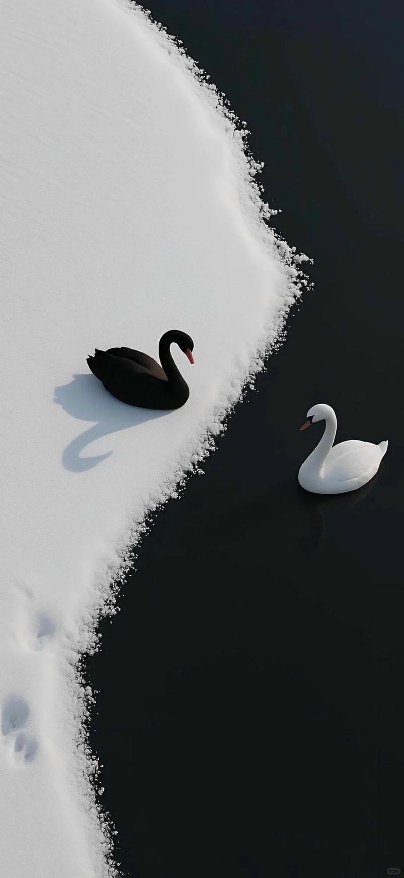 Xem hình nền đẹp đẹp