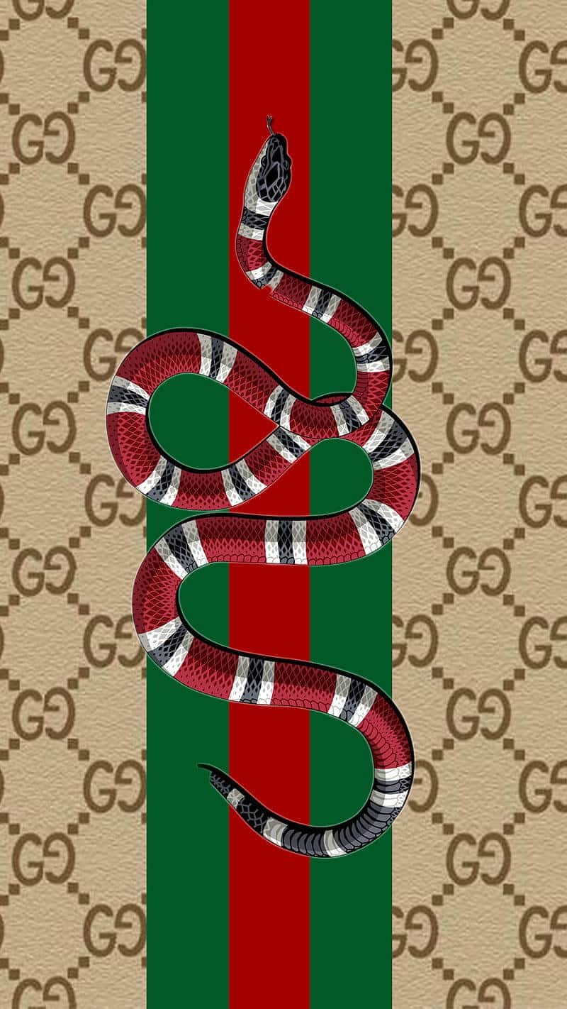 Xem hình nền gucci chất lượng cao