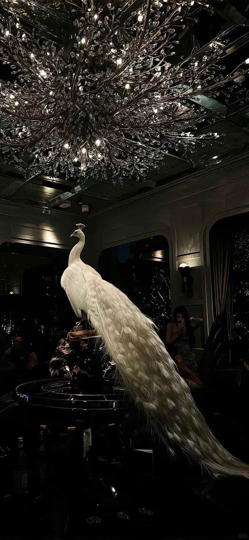 Xem hình nền ip 12 chất lượng