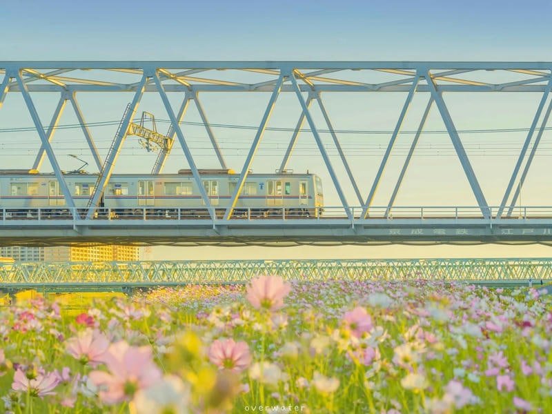 Xem hình nền ipad chất lượng cao