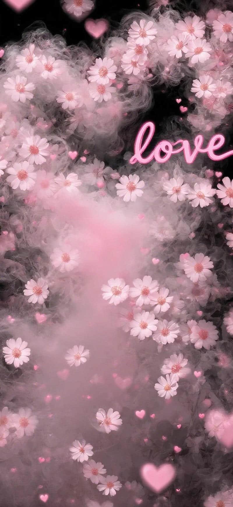 Xem hình nền màu hồng chất lượng