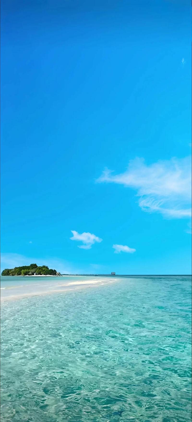 Xem hình nền màu xanh chất lượng