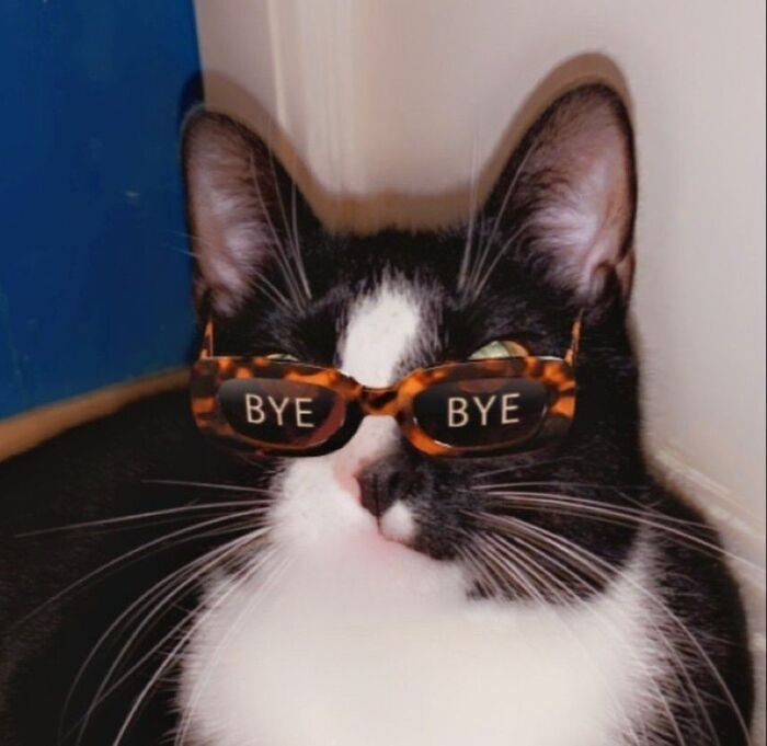 meme bye biểu cảm lạ