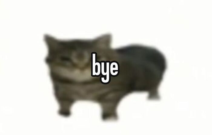 meme bye con mèo