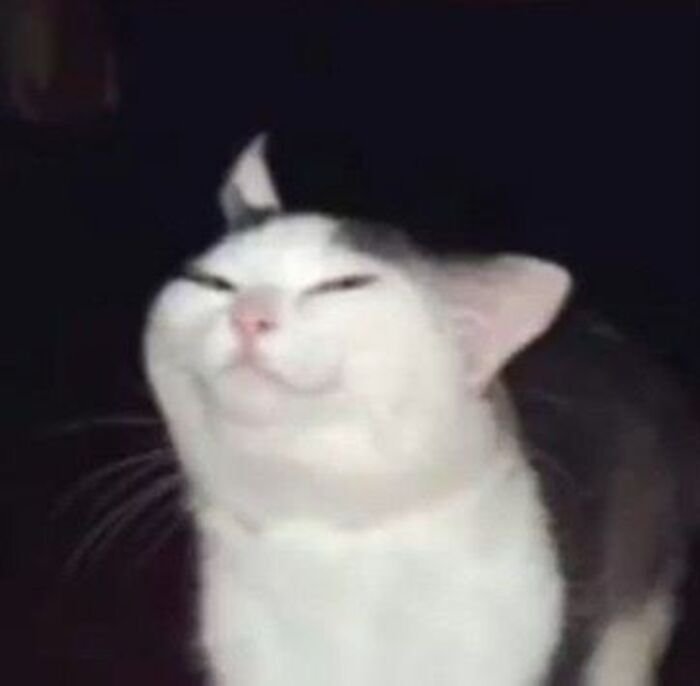 meme chế cười mệt