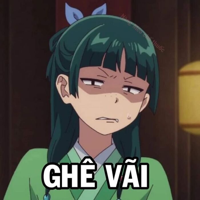 meme chế nhìn chằm chằm