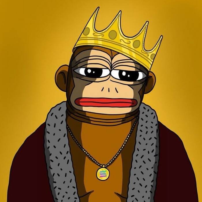 meme coin đầu tư may mắn