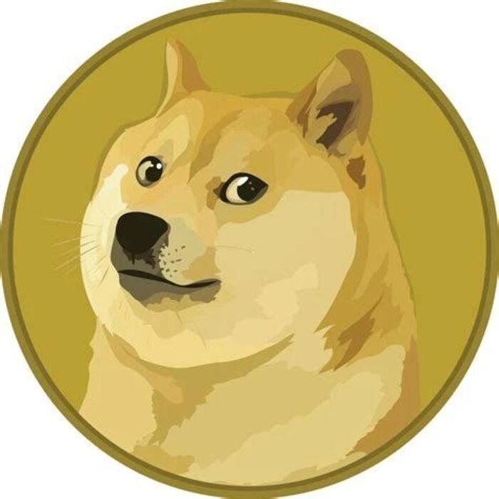 meme coin shiba