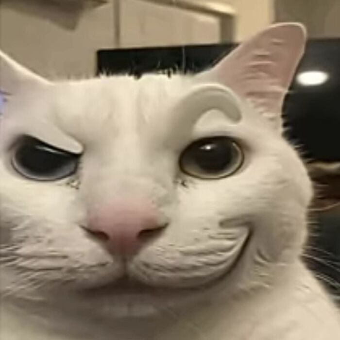 meme cười đểu cười nhếch mép