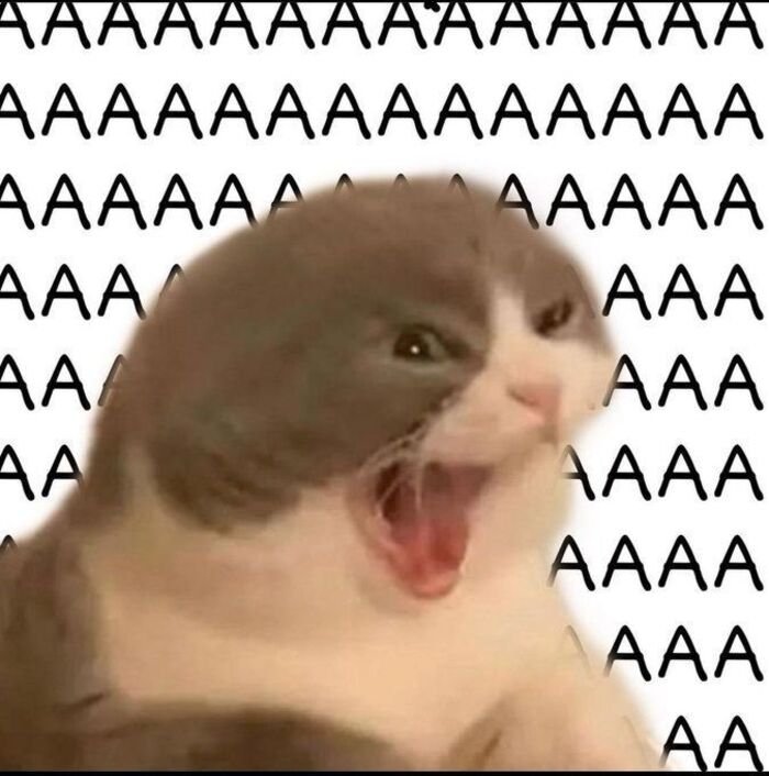 meme cười đểu hài hước